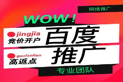 百度搜索推广实战经验：经典案例启示录